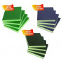 RYNOSPONGE SPUGNA ABRASIVA 2 LATI SUPER FINE 400-600 VERDE