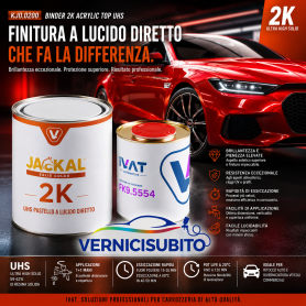 MOTO GUZZI 8076 AMARANTO  KIT Vernice pastello acrilica a lucido diretto Ivat LV 420 lt. 1